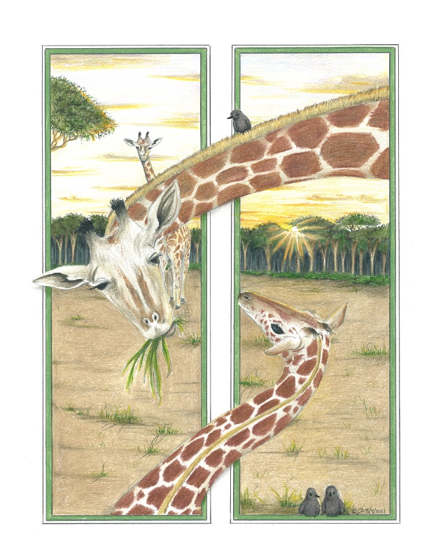 Pencil drawing titled: Observing Giraffes